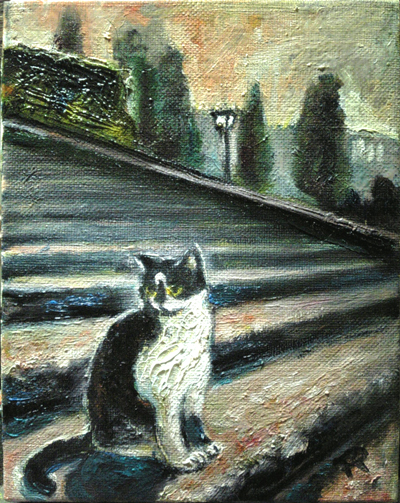 A cat of Piazza Michelangelo